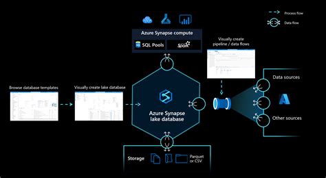 synapse database.